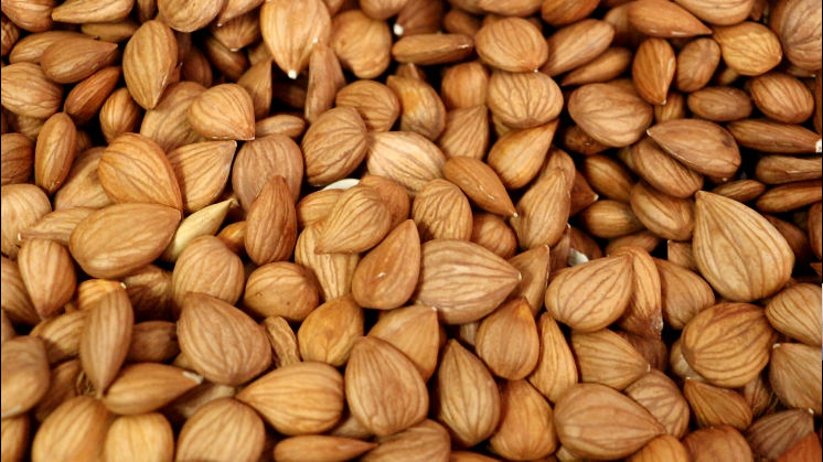 8 meters roasting production line for processing salted peanut.