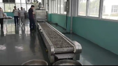 Customer came to factory test roasting soybean in 8 meters continuous roasting line