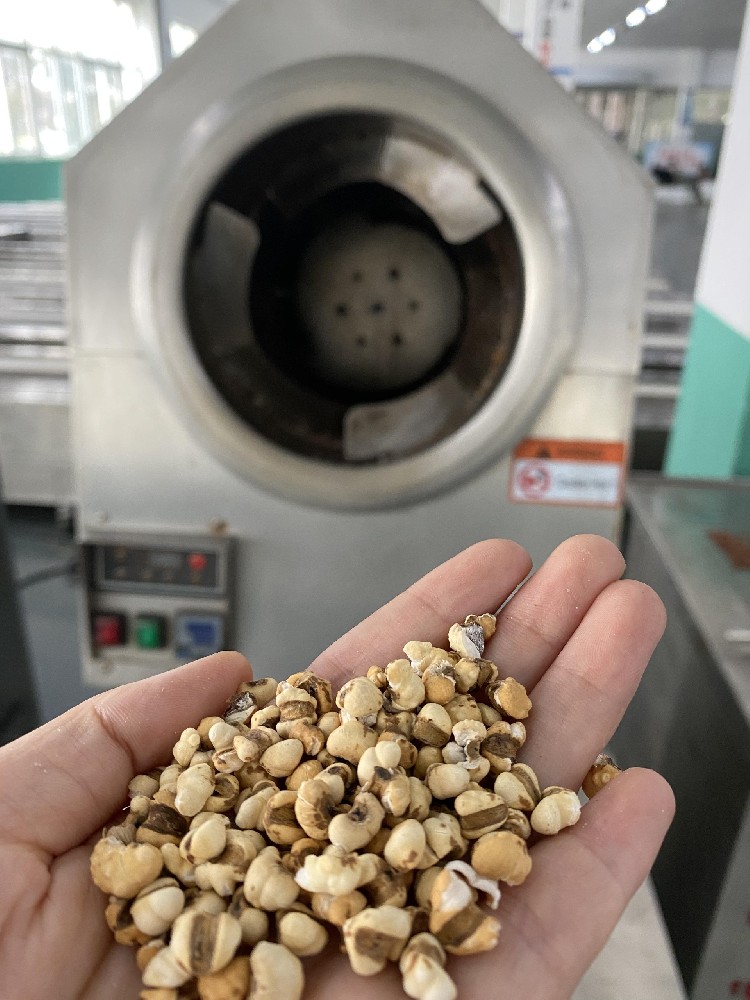 Test puff Barley for customer by DCCZ3-4 roasting machine