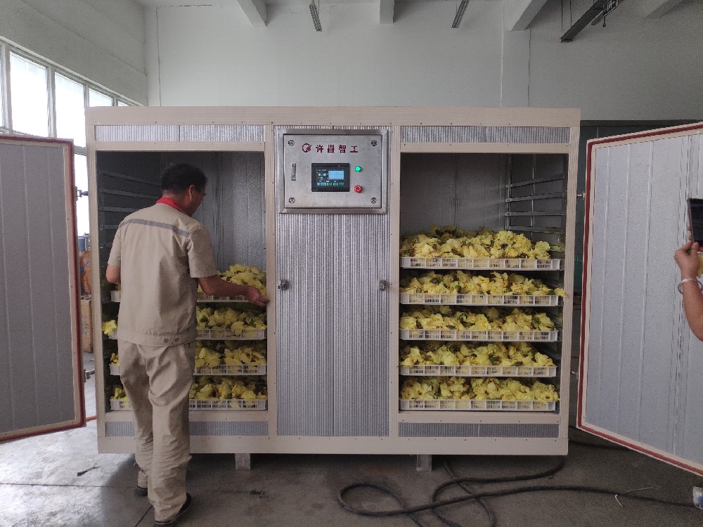 New arrival Herbs Dryer machine More details pls contact Daisy  drying fruits, vegetables, flowers, herbs...