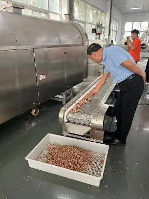Customer came to our factory and test roasting cashew nuts
