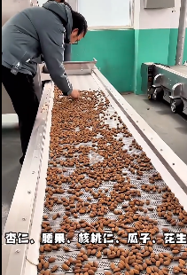 Test roasting almond nuts in 8 meters continuous production line