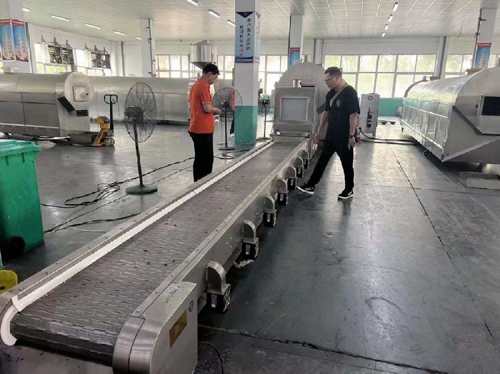 Fujian customer inspection line fried melon seed equipment