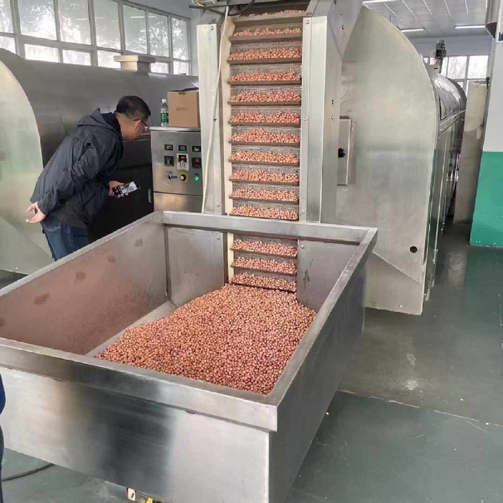 Customer test machine fried peanuts machine production line