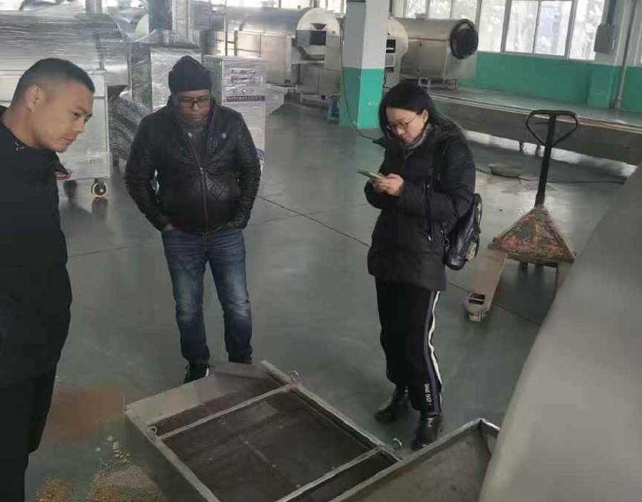 Foreign friends test machine production line roasting rice