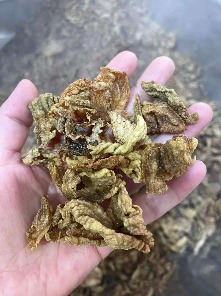 Customer roasting nuts on exhibition in our machine