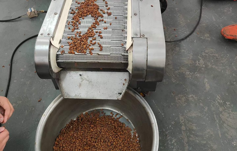 Objective test of the machine for roasting nuts